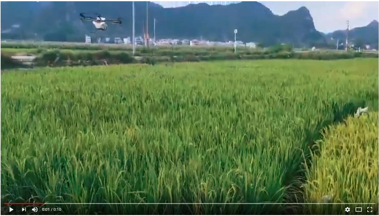 crop spraying drone working